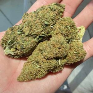 10 gr Northern lights